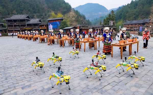 Robot dogs dance their way into the hearts of visitors at Xijiang Qianhu Miao Village in SW China's Guizhou