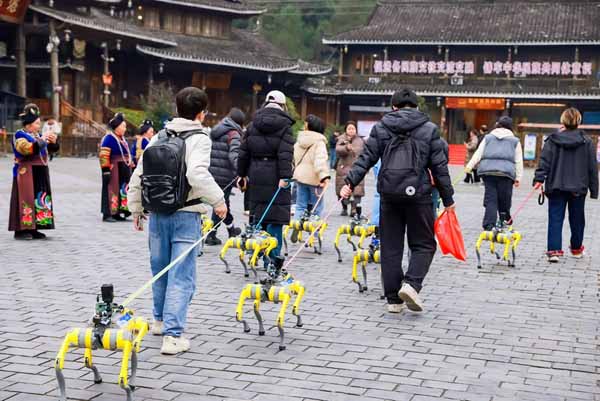 Robot dogs dance their way into the hearts of visitors at Xijiang Qianhu Miao Village in SW China's Guizhou