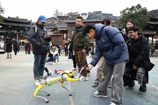 Robot dogs dance their way into the hearts of visitors at Xijiang Qianhu Miao Village in SW China's Guizhou