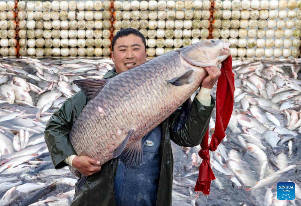 Winter fishing festival opens at Zhenhu Lake in Taizhou, E China