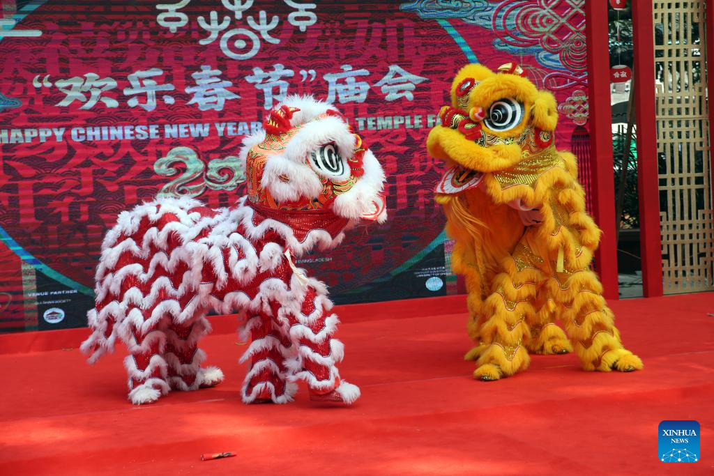 Feature: Bangladeshi people taste charm of Chinese Spring Festival