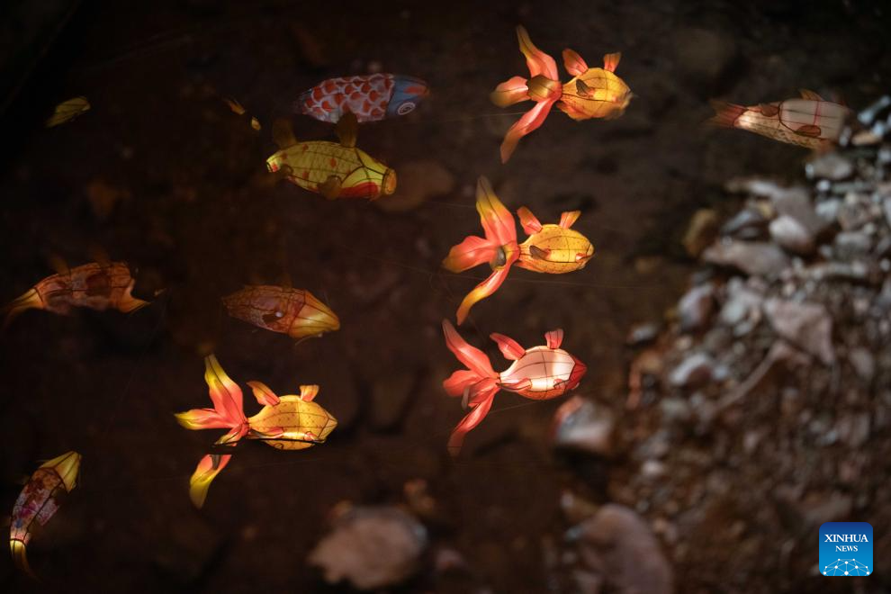 Traditional fish-shaped lanterns embrace new vitality in Shexian, E China