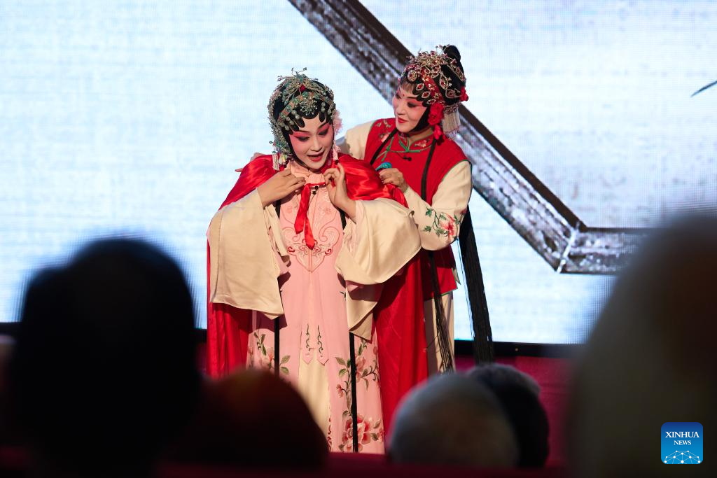 Cultural tourism promotion event on Spring Festival held in Brussels