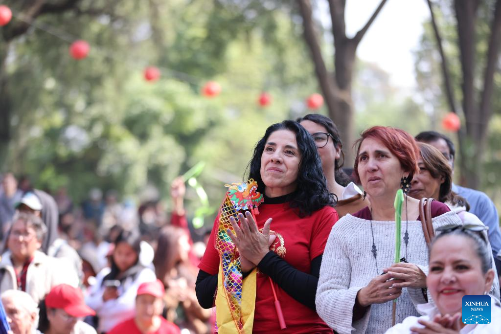 Chinese New Year cultural festival held in Mexico